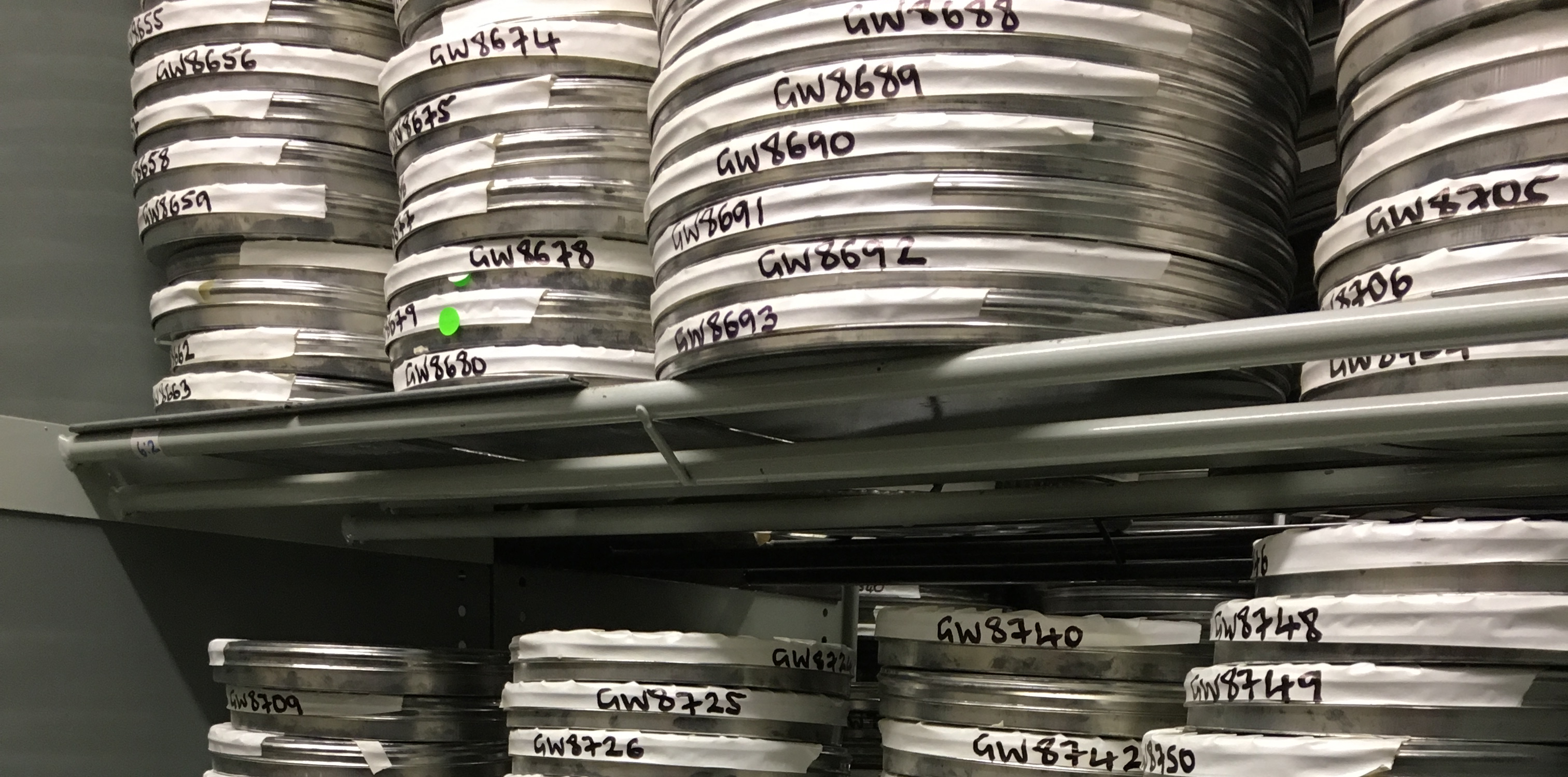 Global film heritage preservation